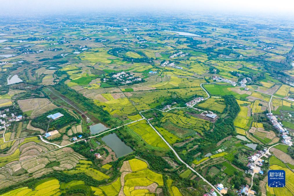 澳门2万赢50万